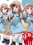 Platelets at Work