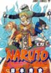 Naruto manga