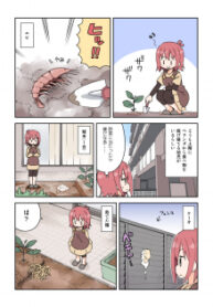 Niwasaki Diary