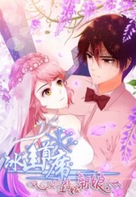 The Icy Ceo And The Substitute Bride