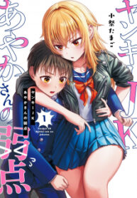 The Many Weaknesses Of Ayaka The Yankee Jk