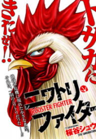 Rooster Fighter