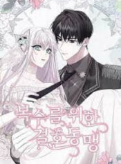 Marriage Alliance For Revenge